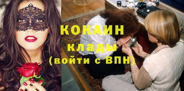 ALPHA PVP Покров