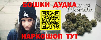 jwh Свободный