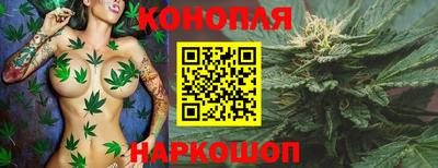 jwh Свободный