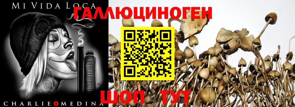 Галлюциногенные грибы Magic Shrooms Азов